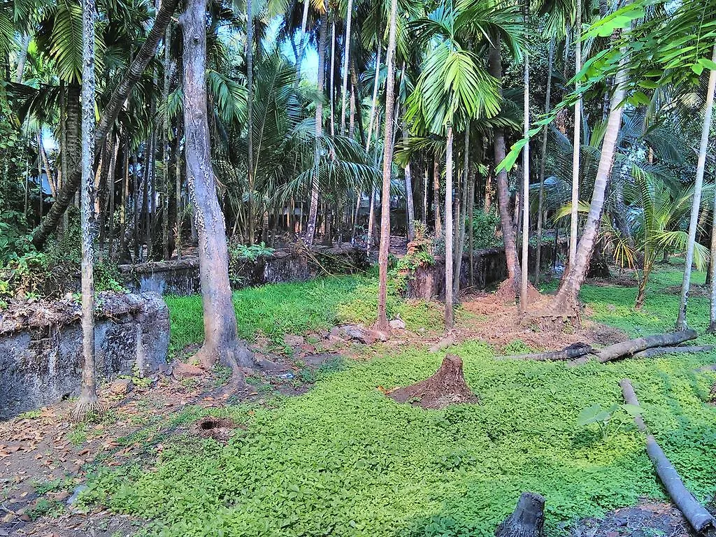 Jojies Homestay Fortkochi India